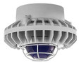 RAB HAZPLED26 26W LED Hazardous Location Wall Bracket Light (5000K, Clear/Frosted Globe or Flat Lens, Guard Options, Gray Finish)