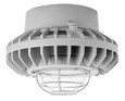 RAB HAZPLED26 26W LED Hazardous Location Wall Bracket Light (5000K, Clear/Frosted Globe or Flat Lens, Guard Options, Gray Finish)