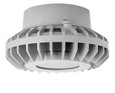 RAB HAZPLED26 26W LED Hazardous Location Wall Bracket Light (5000K, Clear/Frosted Globe or Flat Lens, Guard Options, Gray Finish)
