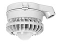 RAB HAZSLED26 26W LED Hazardous Location Wall Bracket Light (5000K, Clear/Frosted/Colored Globe or Flat Lens, Guard Options, Gray Finish)