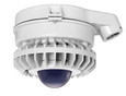 RAB HAZSLED26 26W LED Hazardous Location Wall Bracket Light (5000K, Clear/Frosted/Colored Globe or Flat Lens, Guard Options, Gray Finish)