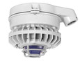 RAB HAZSLED26 26W LED Hazardous Location Wall Bracket Light (5000K, Clear/Frosted/Colored Globe or Flat Lens, Guard Options, Gray Finish)
