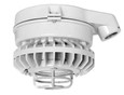 RAB HAZSLED26 26W LED Hazardous Location Wall Bracket Light (5000K, Clear/Frosted/Colored Globe or Flat Lens, Guard Options, Gray Finish)