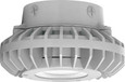 RAB HAZXLED26 26W LED Hazardous Location Wall Bracket Light (5000K, Clear/Frosted Globe or Flat Lens, Guard Options, Gray Finish)