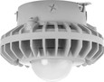 RAB HAZXLED26 26W LED Hazardous Location Wall Bracket Light (5000K, Clear/Frosted Globe or Flat Lens, Guard Options, Gray Finish)