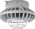 RAB HAZXLED26 26W LED Hazardous Location Wall Bracket Light (5000K, Clear/Frosted Globe or Flat Lens, Guard Options, Gray Finish)