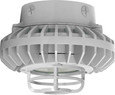 RAB HAZXLED42 42W LED Hazardous Location Wall Bracket Light (5000K, Clear/Frosted Globe or Flat Lens, Guard Options, Gray Finish)