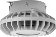 RAB HAZXLED42 42W LED Hazardous Location Wall Bracket Light (5000K, Clear/Frosted Globe or Flat Lens, Guard Options, Gray Finish)