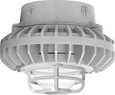RAB HAZXLED42 42W LED Hazardous Location Wall Bracket Light (5000K, Clear/Frosted Globe or Flat Lens, Guard Options, Gray Finish)