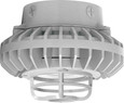RAB HAZXLED42 42W LED Hazardous Location Wall Bracket Light (5000K, Clear/Frosted Globe or Flat Lens, Guard Options, Gray Finish)
