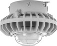 RAB HAZXLED42 42W LED Hazardous Location Wall Bracket Light (5000K, Clear/Frosted Globe or Flat Lens, Guard Options, Gray Finish)