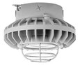RAB HAZXLED42 42W LED Hazardous Location Wall Bracket Light (5000K, Clear/Frosted Globe or Flat Lens, Guard Options, Gray Finish)