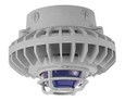 RAB HAZXLED42 42W LED Hazardous Location Wall Bracket Light (5000K, Clear/Frosted Globe or Flat Lens, Guard Options, Gray Finish)