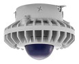 RAB HAZXLED42 42W LED Hazardous Location Wall Bracket Light (5000K, Clear/Frosted Globe or Flat Lens, Guard Options, Gray Finish)