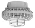 RAB HAZXLED42 42W LED Hazardous Location Wall Bracket Light (5000K, Clear/Frosted Globe or Flat Lens, Guard Options, Gray Finish)