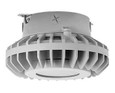 RAB HAZXLED42 42W LED Hazardous Location Wall Bracket Light (5000K, Clear/Frosted Globe or Flat Lens, Guard Options, Gray Finish)