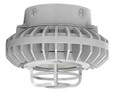 RAB HAZXLED42 42W LED Hazardous Location Wall Bracket Light (5000K, Clear/Frosted Globe or Flat Lens, Guard Options, Gray Finish)