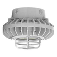 RAB 42W LED Hazardous Location Wall Bracket Light with 5000K Color Temperature and Guard Options