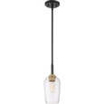 Quoizel  Transitional Mini pendant QZL-SGR1505