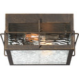 Quoizel Lighting WAR1612 Transitional Outdoor flushmount 2 lights gilded bronz