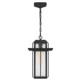 Quoizel  Transitional Mini pendant 1 light QZL-RDL1509