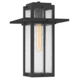 Quoizel Lighting RDL1509 Transitional Mini pendant 1 light