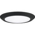 Quoizel  Transitional Flush mount 12" LED light QZL-VRG1612