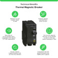 Schneider QO Series Plug-On Miniature Circuit Breakers — 2-Pole, 10–200A Thermal-Magnetic