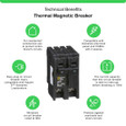 Schneider HOM Plug-On Circuit Breakers — 2-Pole, 15–200A