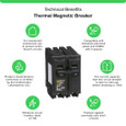 Schneider HOM Plug-On Circuit Breakers — 2-Pole, 15–200A