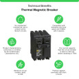 Schneider HOM Plug-On Circuit Breakers — 2-Pole, 15–200A