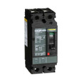 Schneider 2-Pole Molded Case Circuit Breaker Series — 15–150A Thermal-Magnetic