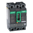 Schneider 2-Pole Molded Case Circuit Breaker Series — 15–150A Thermal-Magnetic