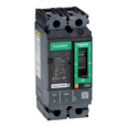 Schneider 2-Pole Molded Case Circuit Breaker Series — 15–150A Thermal-Magnetic