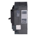 Schneider 2-Pole Molded Case Circuit Breaker Series — 15–150A Thermal-Magnetic