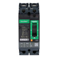 Schneider 2-Pole Molded Case Circuit Breaker Series — 15–150A Thermal-Magnetic