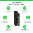 Schneider QO Series Plug-On Miniature Circuit Breakers — 1-Pole, 10–70A Thermal-Magnetic