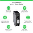 Schneider HOMT Tandem Mini Circuit Breakers — 15A–30A Dual-Function Models
