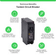 Schneider HOMT Tandem Mini Circuit Breakers — 15A–30A Dual-Function Models