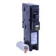 Schneider HOM CAFI Arc-Fault Circuit Breakers — 1-Pole, 15–20A