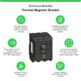 Schneider QO Series Plug-On Miniature Circuit Breakers — 3-Pole, 10–200A Thermal-Magnetic