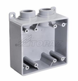 Topaz Lighting Schedule 40 PVC FSS Type Box, Double Gang