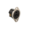 Cooper Wiring Devices Flanged Outlet Receptacle, Brass, 15A 125V NEMA 5-15R