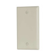 Cooper Wiring Devices Thermoset Blank Single-Gang Wallplate