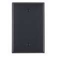 Leviton Midway Box Mount Blank Wallplate, Thermoplastic Nylon