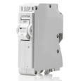 Leviton Plug-On Mount Standard Thermal Magnetic Branch Circuit Breaker