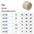 Spears 4147 CPVC CTS Socket-Weld Cap Fitting, Copper Tube Size