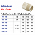 Spears 4136 CPVC CTS Male Adapter, MIPT x Socket