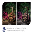 WAC Lighting 60-B Balance LED 12V Path Light and Area Light