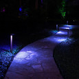 WAC Lighting 6881-CS Ledge 12V LED RGBWW Colorscaping Path Light